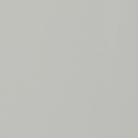 Gris clair